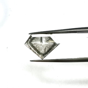 Salt and Pepper Phantom Shield Slice 1.24ct