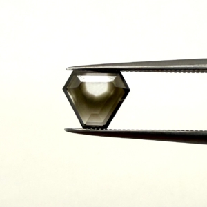 Portrait Cut Salt and Pepper Phantom Hexagon Shield 1.00ct