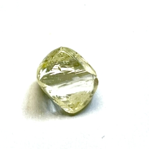 Rough | Natural Unique Shape 3.66ct