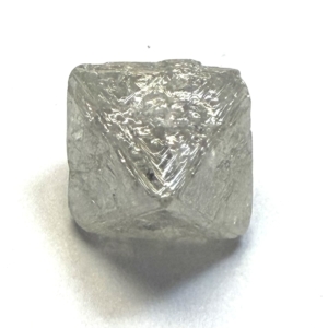 Rough | Natural Unique Shape 7.87ct